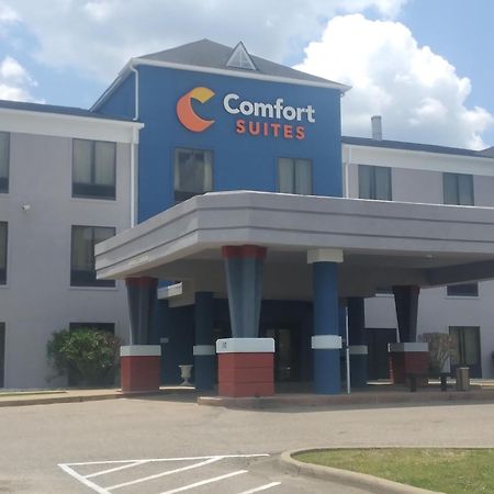 Comfort Suites Airport South Montgomery Esterno foto